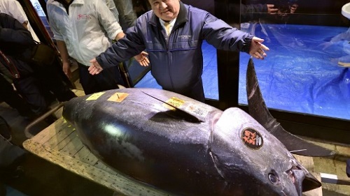 Japan sushi tycoon pays record tuna price 5