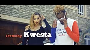 Laylizzy – Too Much Feat. Kwesta (Official video) 5