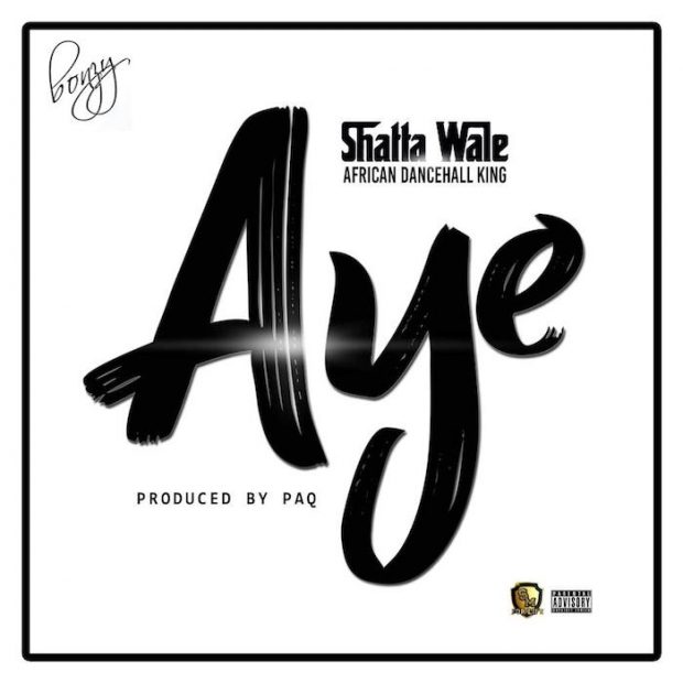 Shatta Wale – Ay3 (Witch) (Prod. By PAQ) 5