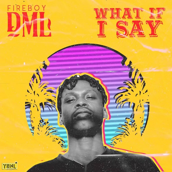 Fireboy DML - What If I Say 5