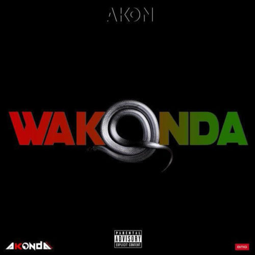 Akon – Wakonda (Official Video) 5