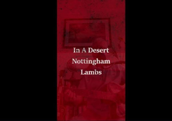 Nottingham Lambs - In A Desert (Live Acoustic) 5