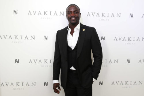 Akon Has Finalized The Agreement For "Akon City" 10