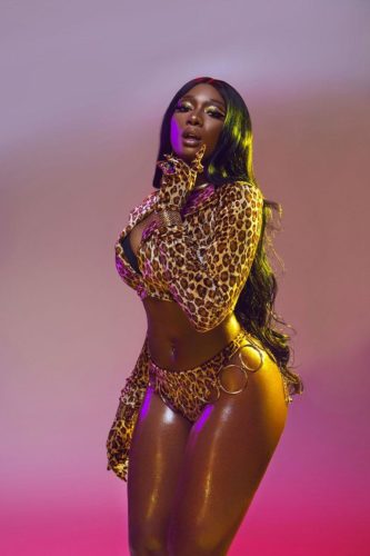 Megan Thee Stallion & Normani's "Birds Of Prey" Collab Cover Art Revealed 5