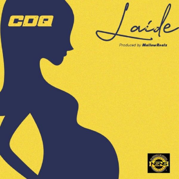 CDQ – Laide 5