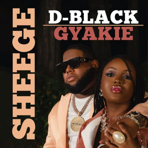 D-Black - Sheege Ft Gyakie 5
