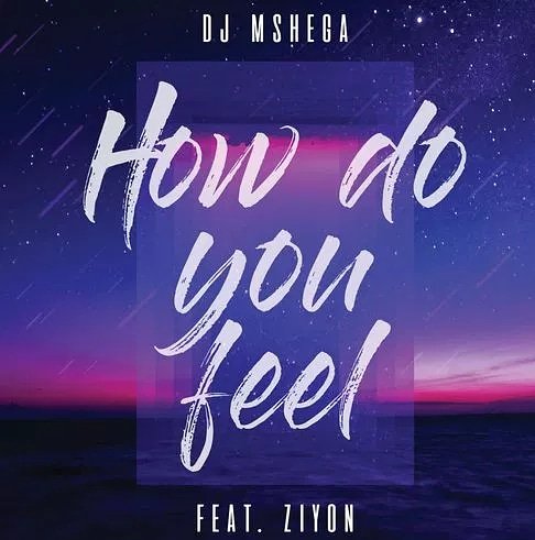 DJ Mshega - How Do You Feel Feat. Ziyon 5