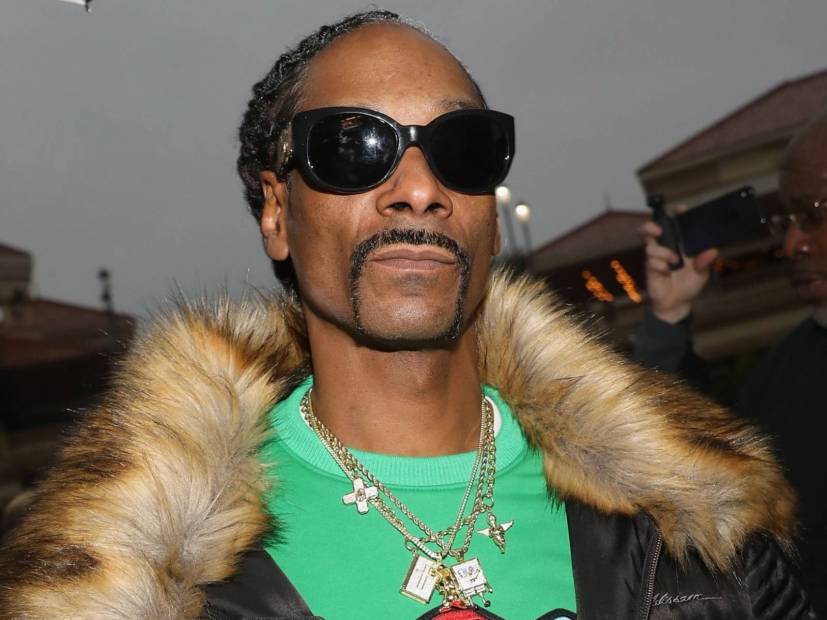 Snoop Dogg Chastises Retired Weed-Smoking David Irving 13