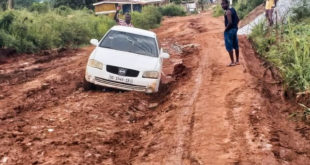 Help fix Seaview, Red Top road - Residents appeal to MP