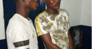2 arrested with human skull