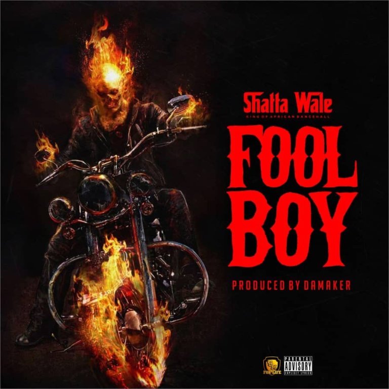 Shatta Wale - Fool Boy (Buffalo Souljah Diss) (Prod. By DaMaker) 1