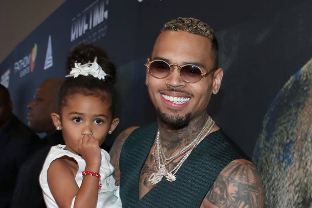 Chris Brown Accused Of Skipping Child Support Payments 9