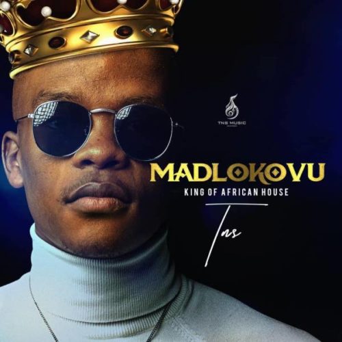 TNS – Madlokovu King Of African House Album 21