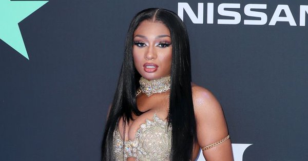 Megan Thee Stallion Song Causes Tina Turner Musical Writer To Tear Her ACL 14