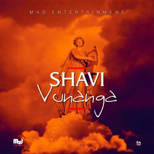 Shavi – Bikiri Feat. Dlala Lazz 1
