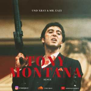 UND Xray Feat. Mr Eazi — Tony Montana (Remix) 21