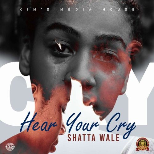 Shatta Wale - Hear Your Cry 25