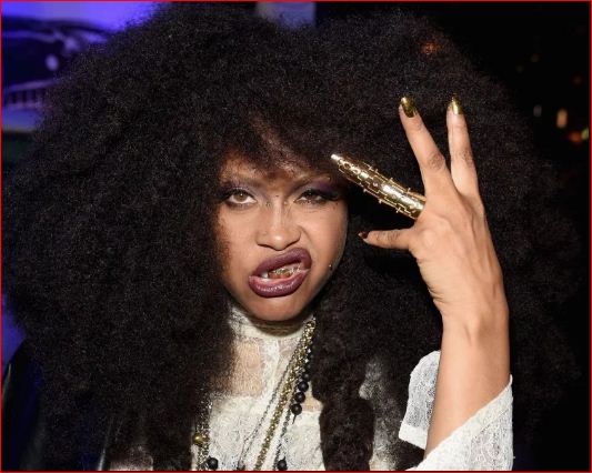 Erykah Badu Reveals Her Vagina-Scented Incense Is Sold Out 13