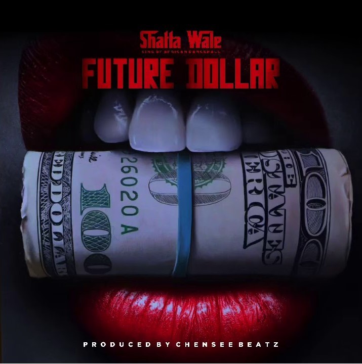 Shatta Wale - Future Dollar (Prod. By Chensee Beatz) 9