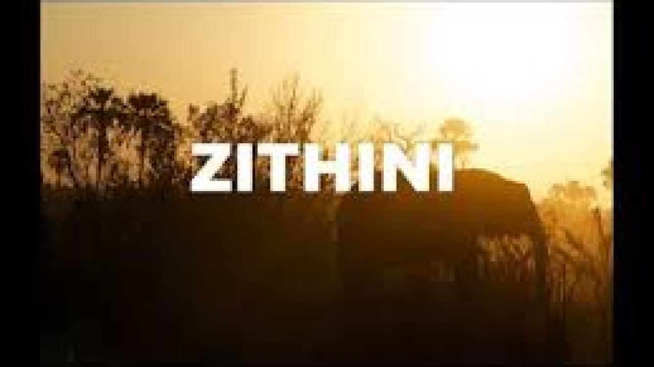 Mr Jazziq, Lady Du, Zuma & Busta 929 - Zithini (Prod. By FIBBS) 1