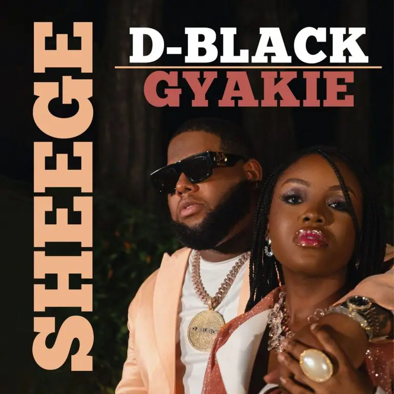 D-Black - Sheege Ft Gyakie 9