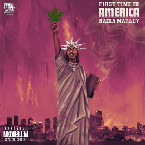 Naira Marley - First Time In America 8