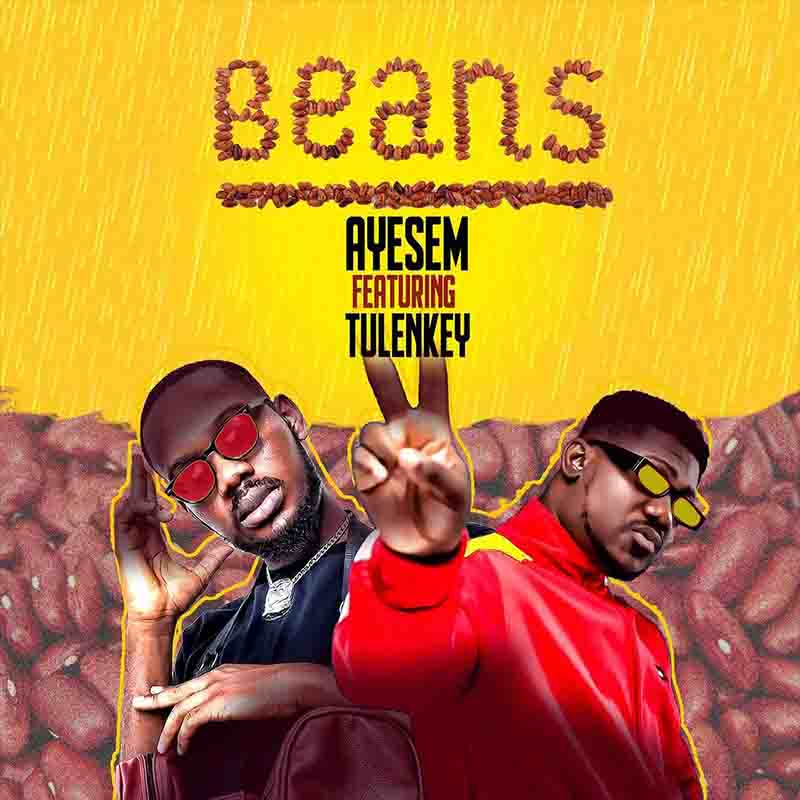 Ayesem - Beans Ft Tulenkey 12