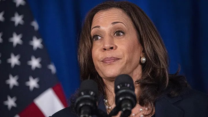 Kamala Harris takes heat for omitting right to 'life' when citing Declaration of Independence: 'Garbage' 24