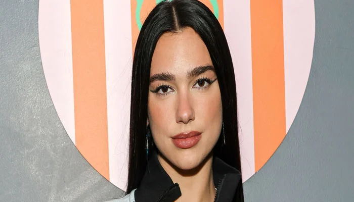 Dua Lipa fears about her upcoming album getting leaked online 5