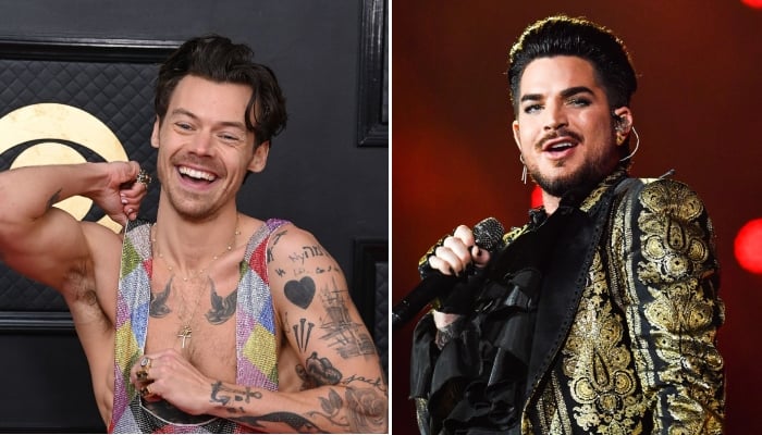 Adam Lambert claims Harry Styles ‘queerbaiting’ allegations 'insult gay people's intelligence' 1