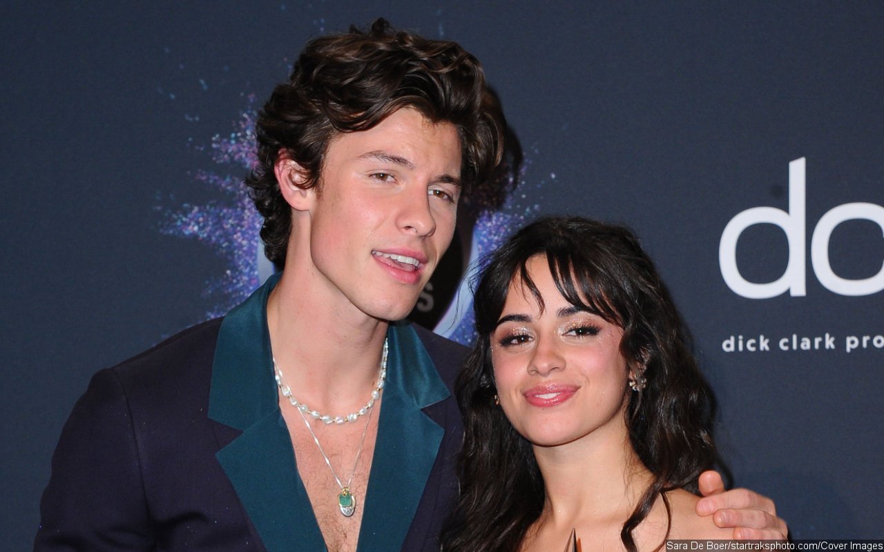 Shawn Mendes And Camila Cabello's Reconciliation Doesn't Work Because 'Timing Isn't Right' 18