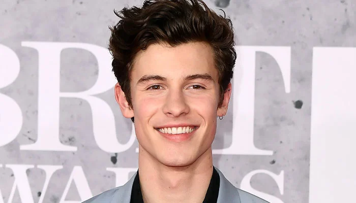 Shawn Mendes talks struggles in life and finding inspiration in moment of ‘deep frustration’ 12