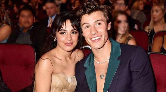 Shawn Mendes and Camila Cabello ‘gave things a try’ but timing wasn’t right 20