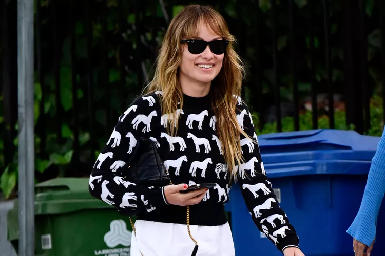 Olivia Wilde Is All Smiles as She Steps Out in a Zoo-Print Sweater by One of Her Favorite Brands 6