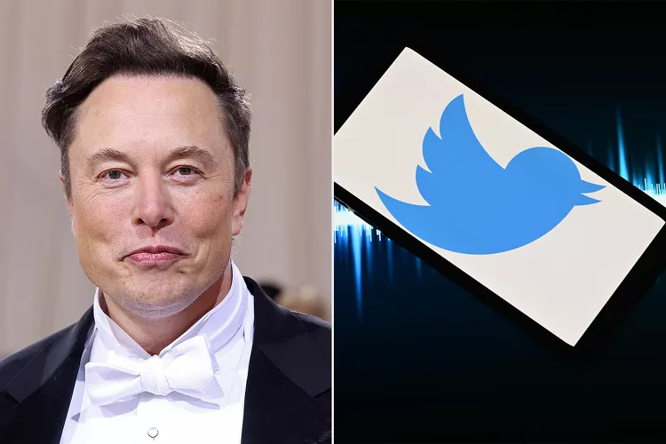 Elon Musk Announces Twitter Logo Change, Plans To 'Bid Adieu' To 'All The Birds' 8