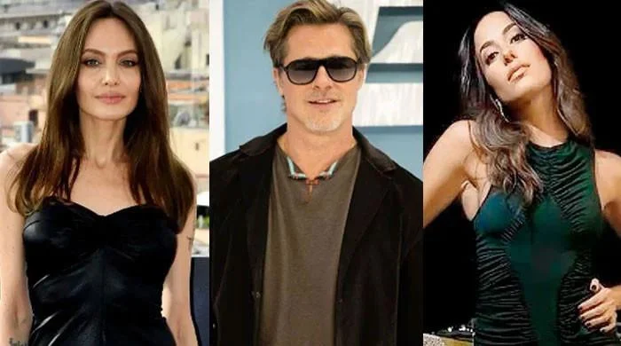 Brad Pitt's legal woes with Angelina Jolie 'strengthened' bond with Ines De Ramon 14