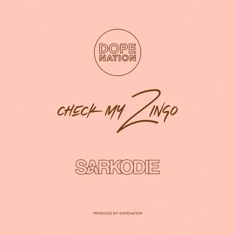 DopeNation - Check My Zingo (Remix) Ft Sarkodie 21