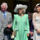 Queen Camilla ‘only one’ with power to end rift between King Charles, Prince Harry 12