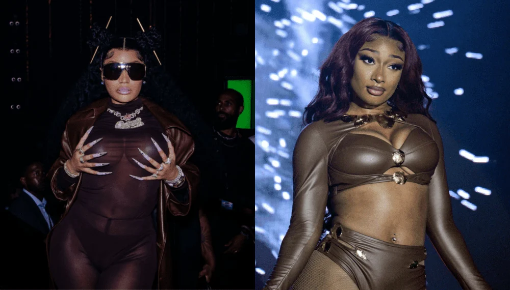 Fans Speculate That Nicki Minaj Subbed Megan Thee Stallion's New Track 5