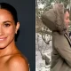 Meghan Markle reveals sweet new Christmas tradition with Prince Archie and Princess Lilibet 68