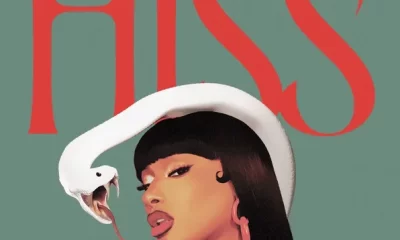 Listen To "HISS (Instrumental)" & "(Chopped 'N Screwed)" By Megan Thee Stallion 14