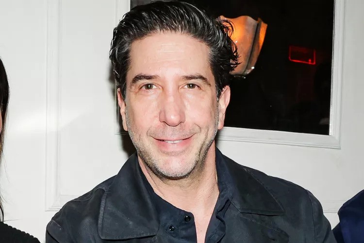 David Schwimmer Makes Rare Appearance at Star-Studded Restaurant Party in N.Y.C. 60
