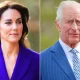 Kate Middleton Had Private Lunch with King Charles Before Cancer Announcement: They Have a 'Very Good Bond' 8