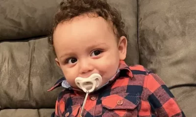 1-Year-Old Boy Killed By Family Dog at Connecticut Home: 'An Unexpected Tragedy' 60