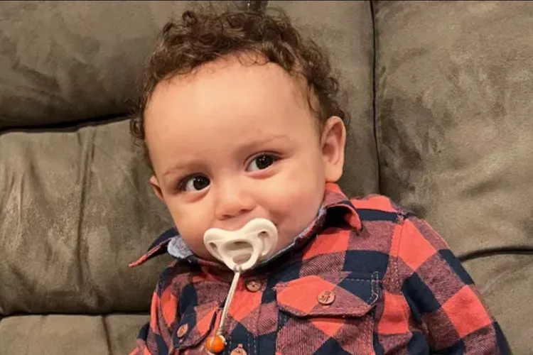 1-Year-Old Boy Killed By Family Dog at Connecticut Home: 'An Unexpected Tragedy' 59